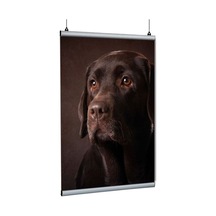 Poster Tutucu Clamp 21cm 5li Paket