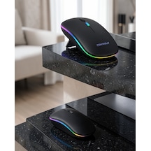 Kablosuz Şarjlı Ergonomik Mouse Pg9009mouse-2 Belirtilmemiş