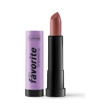 Lips Favorite Longwearing Lipstick Kalıcı Ruj 306 Here Kahverengi Diğer