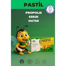 Harbee Propas Fresh Pastil