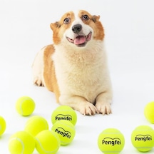 Ayrex Jouis Köpek Oyuncağı Tenis Topu 2'li Büyük Boy Dayanıklı Kauçuk İç Yapı, Diş Dostu Yumuşak Keçe