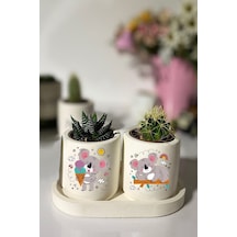 Tabaklı Koala Baskılı Mini Saksı Seti Hediyelik Dekoratif
