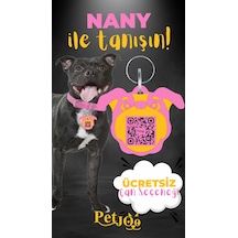Petjoo 17.Nany Sarı-Pembe Qr'lı Köpek Künyesi