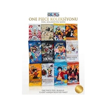 Cantex Tech One Piece Oyun Kartı Özel 12 Seri Bir Arada 12 Paket + Albüm