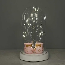 Işıklı Fanus Bebek Patiği Figürlü Lamba Pembe