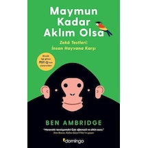 Maymun Kadar Aklım Olsa  - Ben Ambridge  - Domingo Yayınevi