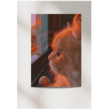 Sevimli Kedi 33x48 Poster Duvar Posteri  +   Çift Taraflı Bant