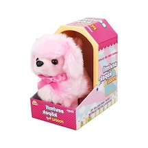 Nessiworldman Sevimli Köpek Poodle