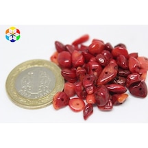 Delikli Mercan Mini Boy 50 Adet (Boyalıdır)