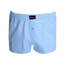 Mode Xl Büyük Beden Erkek Boxer Desenli Poplin 6348 Buz Mavi 001