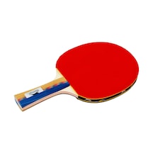 Slazenger Master ITTF Onaylı Masa Tenis Raketi (6 Star)