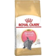 British Shorthair Kitten Yavru Kedi Maması 2 Kg