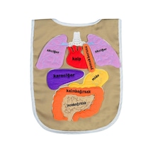 Eğitici Organ Önlüğü
