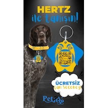 Petjoo 26.Hertz Mavi-Sarı Qr'lı Köpek Künyesi