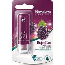 Himalaya Böğürtlen Parlatıcı ve Nemlendirici Dudak Bakım Kremi 4.5 G