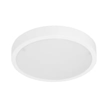 Ayrex 20w Led Tavan Lambası, Led Glop Armatürü 6500k Beyaz Işık Manolya Vl811020 Diğer