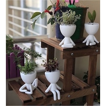 Insansı Saksı 4'lü Set