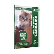 Yks-dil Intropack 20x20 Mini Deneme Canavarı