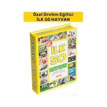 Özel Seri El Göz Koordinasyon Görsel Algı Geliştirici Hayvan İsimleri Öğretici İlk 50 Hayvan