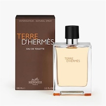 Hermes Terre D'Hermes Erkek Parfüm EDT 100 ML