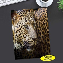 Vahşi Leopar Hayvan 240 Parça Puzzle Yapboz Tablo-79069120