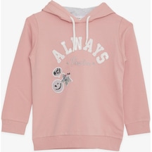Breeze Kız Çocuk Sweatshirt Pullu Simli Gülenyüz Baskılı 4-9 Yaş, Gülkurusu-gülkurusu Gülkurusu Breeze Kız Çocuk Sweatshirt Pullu Simli Gülenyüz Baskılı 4-9 Yaş, Gülkurusu-gülkurusu Gülkurusu