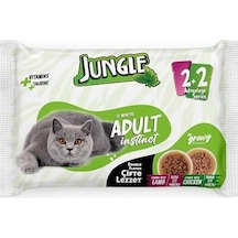 Jungle 4 X 100 Gr Çift Lezzet Pouch Yetişkin Kedi Kuzulu - Tavuklu 103 Ivory