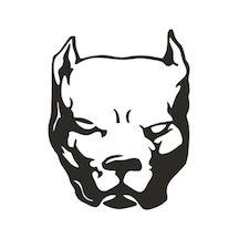 Pitbull Köpek Sticker 15 11,5 Cm