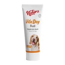 Natura Vitadog Paste 100 Ml: Köpekler İçin Tüy Dökülmesini Azaltan, Vitaminli Güç Takviyesi