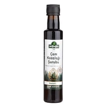 Arifoğlu Kozalak Şurubu 250ml