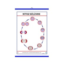 Mitoz Levhası 70X100 Cm