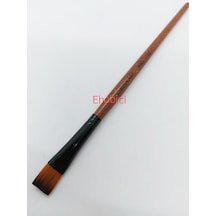 Cenova Art 900 Düz/stroke Fırça No:12