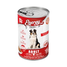 Energy Sığır Etli Yetişkin Köpek Maması 10 x 415 G