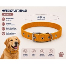 Köpek Boyun Tasması 40-50 Cm Ayarlanabilir Naylon Metal Tokalı D Halkalı - Hardal Sarı Çok Renkli
