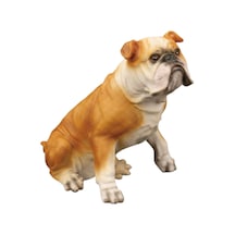 Açık Kahve İngiliz Bulldog Diğer