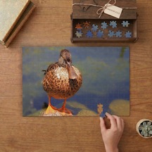 Yaban Ördeği Tasarımı 240 Parça Ahşap Puzzle Ahşap Kutuda Mpy40168