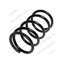 Helezon Yayı Arka Sag-sol Rav4 00-05