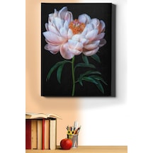 Webstyle Sayılarla Boyama Seti Kasnaklı Beyaz Şakayık 40 X 50 Cm