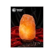 Tuzcu Kenan Himalaya Tuz Lambası Ahşap Kaideli 5-6 Kg 25 X 20 Cm