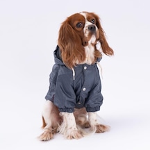 Pettrend Antrasit Mont Köpek Mont Köpek Kıyafeti Köpek Yağmurluğu