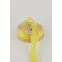 FdayAksesuar 1 m Su Yolu Kurdelesi En 2,5 cm FRDY24708