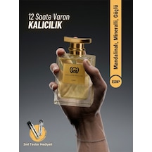 Lush Erkek Parfüm Edp Mineral, Safran, Süet, Akigalawood Niş Karakterli Kalıcı Etkileyici Fresh - Marin