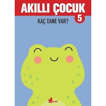 Akıllı Çocuk - Kaç Tane Var?- Çınar Yayınları