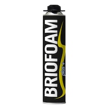 Brio Pu Montaj Köpüğü Hortumlu 750 Gr