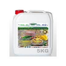 CLEAN OTO PARFÜM MANGO KOKULU 5KG