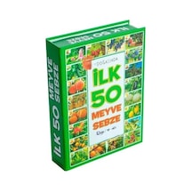 Mey İthalat 1420 İlk 50 Meyve Sebze