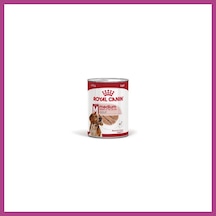 Gees Global Loaf Mousse Orta Irk Ezme Yetişkin Köpek Konservesi 410 Gr Gbzs