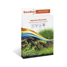Eurostar Bitki Tohumu Eleocharis  Parvula