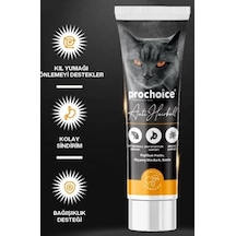 Pro Choice Hairball Paste 100 ML