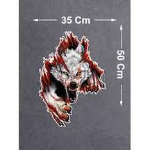50x35 Cm